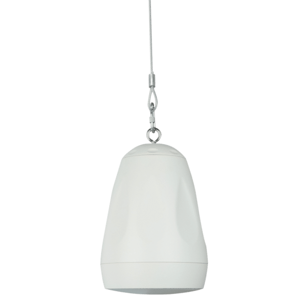 DPS-530 Pendant Speaker - Onlinediscowinkel.nl