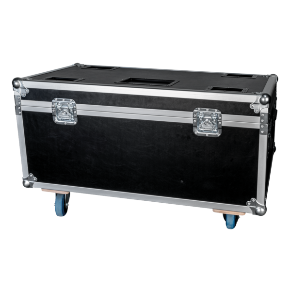 Case for 3x Raccoon S420/4 and W40/4 - Onlinediscowinkel.nl