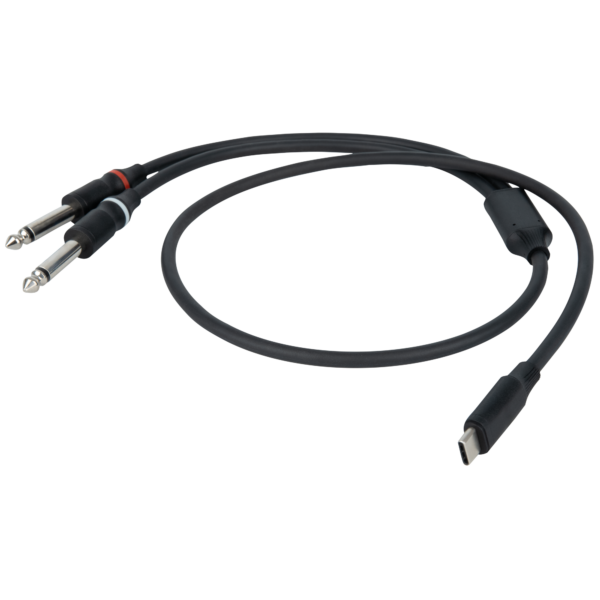 FL111 - USB-C to 2 Mono Jack L/R - Onlinediscowinkel.nl